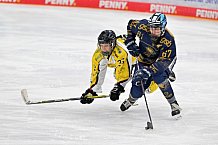Eishockey, Frauen, DFEL, Saison 2022-2023, ERC Ingolstadt - Mad Dogs Mannheim, 20.11.2022