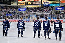 Eishockey, Herren, DEL, Saison 2024-2025, Spieltag 48, ERC Ingolstadt - Nürnberg Ice Tigers, 23.02.2025