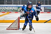 Eishockey, Saison 2025-2026, ERC Ingolstadt - Kids On Ice Day, 10.01.2026