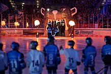 Eishockey, Herren, DEL, Saison 2024-2025, Spieltag 36, ERC Ingolstadt - Kölner Haie, 12.01.2025