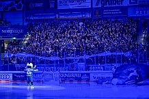 Eishockey, Herren, DEL, Saison 2025-2026, Spiel 51, ERC Ingolstadt - Augsburger Panther, 13.03.2026