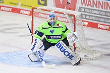 Eishockey, Herren, DEL, Saison 2020-2021, Straubing Tigers - ERC Ingolstadt, 31.01.2021