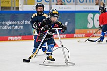 Eishockey, Saison 2025-2026, ERC Ingolstadt - Kids On Ice Day, 10.01.2026