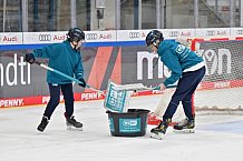 Eishockey, Herren, DEL, Saison 2023-2024, Spieltag 52, ERC Ingolstadt - Nürnberg Ice Tigers, 08.03.2024