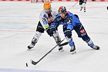 Eishockey, Herren, DEL, Saison 2023-2024, Spieltag 14, ERC Ingolstadt - Fischtown Pinguins, 27.10.2023