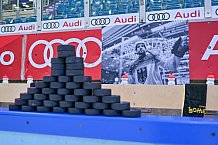 Eishockey, Herren, DEL, Saison 2024-2025, Spieltag 42, ERC Ingolstadt - Kölner Haie, 31.01.2025