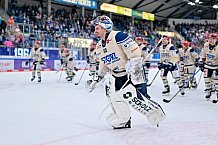 Eishockey, Herren, DEL, Saison 2024-2025, Spieltag 52, ERC Ingolstadt - Schwenninger Wild Wings, 07.03.2025