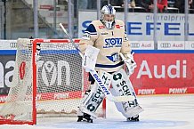 Eishockey, Herren, DEL, Saison 2024-2025, Spieltag 28, ERC Ingolstadt - Schwenninger Wild Wings, 20.12.2024