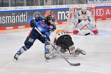 Eishockey, Herren, DEL, Saison 2023-2024, Playoffs Viertelfinale - Spiel 4, ERC Ingolstadt - Fischtown Pinguins , 24.03.2024