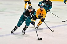 Eishockey, Herren, DEL, Saison 2026-2027, ERC Ingolstadt - HC Verva Litvinov - Steinbach Black Wings Linz, 22.08.2026