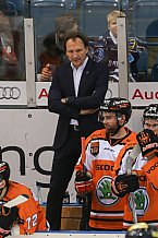 ERC Ingolstadt - Grizzlys Wolfsburg, Eishockey, DEL, Deutsche Eishockey Liga, Spieltag 12, 18.10..2015
