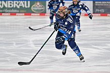 Eishockey, Frauen, DFEL, Saison 2024-2025, ERC Ingolstadt - Mad Dogs Mannheim, 23.11.2024