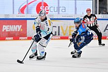 Eishockey, Herren, DEL, Saison 2025-2026, Spiel 44, ERC Ingolstadt - Dresdner Eislöwen, 27.01.2026