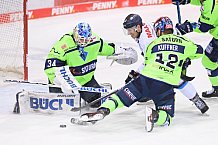Eishockey, Herren, DEL, Saison 2020-2021, ERC Ingolstadt - Straubing Tigers, 10.02.2021