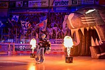 Eishockey, Herren, DEL, Saison 2024-2025, Spieltag 49, ERC Ingolstadt - Straubing Tigers, 28.02.2025