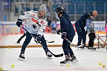 Eishockey, Herren, DEL, Saison 2023-2024, ERC Ingolstadt - Kids on Ice Day, 30.09.2023