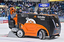 Eishockey, Herren, DEL, Saison 2025-2026, Spiel 21, ERC Ingolstadt - Pinguins Bremerhaven, 23.11.2025