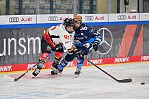 Eishockey, Frauen, DFEL, Saison 2024-2025, ERC Ingolstadt - EC Bergkamener Bären, 12.10.2024
