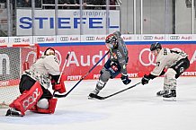 Eishockey, Herren, DEL, Saison 2023-2024, Spieltag 36, ERC Ingolstadt - Kölner Haie, 07.01.2024
