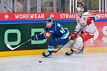 Hockey, Mens, CHL, Season 2025-2026, Regular Season, Round of 16, ERC Ingolstadt - EC Red Bull Salzburg, 12.11.2025