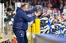 Eishockey, Herren, DEL, Saison 2024-2025, Playoffs Viertelfinale, Spiel 1, Nürnberg Ice Tigers - ERC Ingolstadt, 18.03.2025