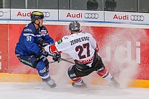 ERC Ingolstadt - Koelner Haie, Eishockey, DEL, Deutsche Eishockey Liga, Spieltag 52, 26.02.2017