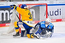 Eishockey, Frauen, DFEL, Saison 2025-2026, Testspiel, ERC Ingolstadt - HC Davos, 14.02.2026