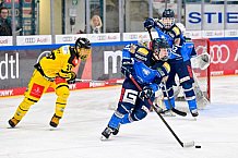 Eishockey, U20, DNL, Saison 2024-2025, ERC Ingolstadt - Krefelder EV 81, 01.03.2025