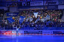 Eishockey, Herren, DEL, Saison 2023-2024, Spieltag 23, ERC Ingolstadt - Straubing Tigers, 01.12.2023