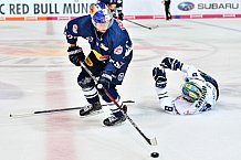 EHC Red Bull Muenchen - ERC Ingolstadt, Eishockey, DEL, Deutsche Eishockey Liga, Spieltag 2, 10.09.2017