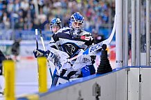 Eishockey, Herren, DEL, Saison 2024-2025, Playoffs Halbfinale, Spiel 3, ERC Ingolstadt - Kölner Haie, 06.04.2025