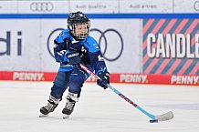 Eishockey, Herren, DEL, Saison 2026-2027, Spieltag 2, ERC Ingolstadt - Nürnberg Ice Tigers, 20.09.2026