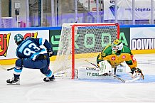 Hockey, Mens, CHL, Season 2025-2026, Regular Season, Game Day 1, ERC Ingolstadt - Ilves Tampere, 28.08.2025