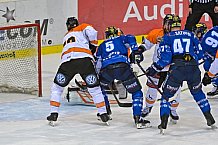 ERC Ingolstadt gegen Grizzlys Wolfsburg Pinguine am 21.12.2018, Spieltag 30