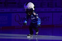 ERC Ingolstadt vs Düsseldorfer EG, DEL, Deutsche Eishockey Liga, Spieltag 37, 12.01.2020