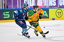 Hockey, Mens, CHL, Season 2025-2026, Regular Season, Game Day 1, ERC Ingolstadt - Ilves Tampere, 28.08.2025