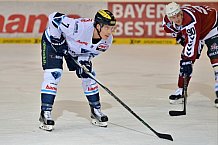 ERC Ingolstadt vs Hamburg Freezers, Eishockey, DEL, Deutsche Eishockey Liga, 05.02.2016