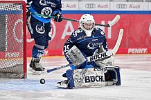 Eishockey, Frauen, DFEL, Saison 2024-2025, ERC Ingolstadt - EC Bergkamener Bären, 04.01.2025