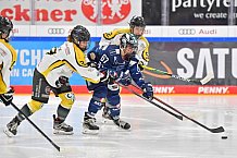 Eishockey, Frauen, DFEL, Saison 2021-2022, ERC Ingolstadt - Mad Dogs Mannheim, 23.10.2021