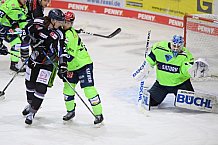 Eishockey, Herren, DEL, Saison 2020-2021, Straubing Tigers - ERC Ingolstadt, 31.01.2021