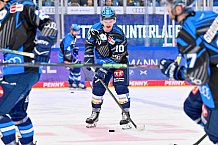 Eishockey, Herren, DEL, Saison 2025-2026, Spiel 47, ERC Ingolstadt - Nürnberg Ice Tigers, 01.03.2026