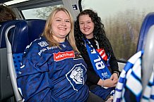 Eishockey, Herren, DEL, Saison 2025-2026, Spiel 24, Nürnberg Ice Tigers - ERC Ingolstadt, 30.11.2025