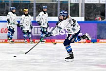 Eishockey, Frauen, DFEL, Saison 2025-2026, ERC Ingolstadt - Eisbären Berlin, 18.01.2026