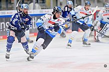 Eishockey, Herren, DEL, Saison 2024-2025, Vorbereitung, ERC Ingolstadt - Dresdner Eislöwen, 18.08.2024