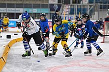 Eishockey, Herren, DEL, Saison 2023-2024, ERC Ingolstadt - Kids on Ice Day, 18.11.2023