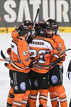 ERC Ingolstadt - Grizzlys Wolfsburg, Eishockey, DEL, Deutsche Eishockey Liga, Spieltag 12, 18.10..2015
