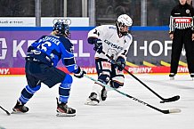 Eishockey, Frauen, DFEL, Saison 2026-2027, ERC Ingolstadt - Eisbären Juniors Berlin, 19.09.2026