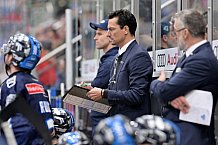 Eishockey, Herren, DEL, Saison 2024-2025, Spieltag 15, ERC Ingolstadt - Augsburger Panther, 03.11.2024