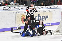 Thomas Sabo Ice Tigers vs ERC Ingolstadt, Eishockey, DEL, Deutsche Eishockey Liga, Spieltag 43, 27.01.2019