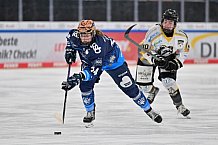 Eishockey, Frauen, DFEL, Saison 2024-2025, ERC Ingolstadt - Mad Dogs Mannheim, 23.11.2024